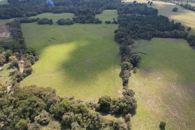 $253,000 | Tbd-a County Road 435, Frankston, TX 75763