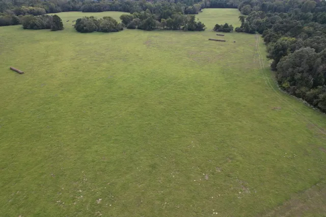 $253,000 | Tbd-a County Road 435, Frankston, TX 75763