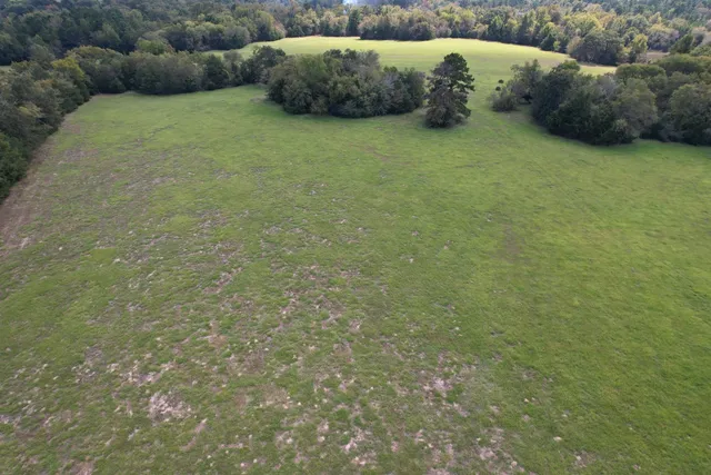 $253,000 | Tbd-a County Road 435, Frankston, TX 75763