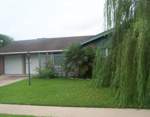 a view of a backyard with plants and large trees