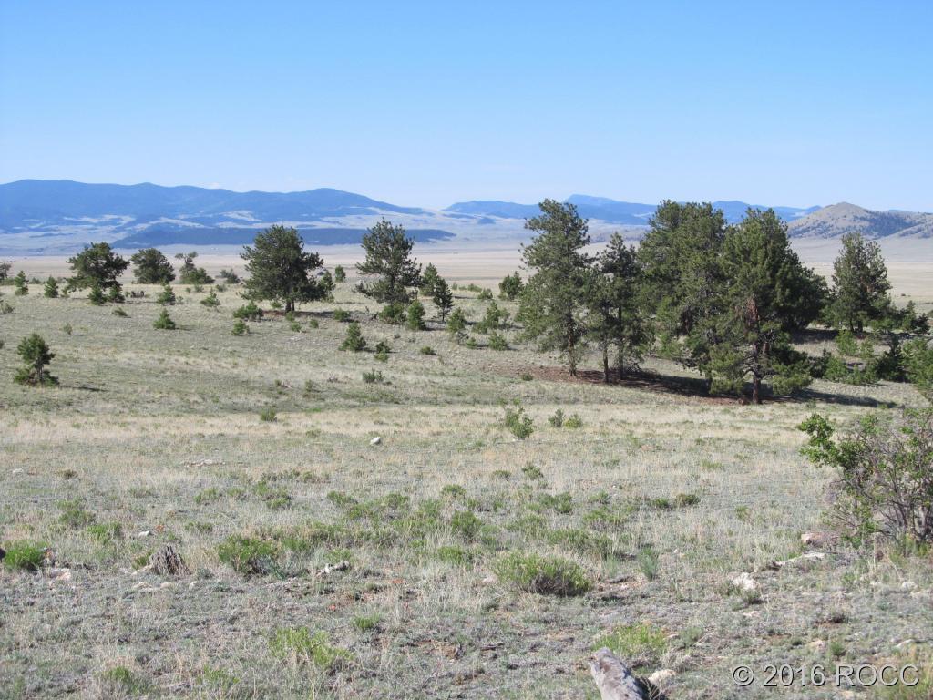 11868 Jackson Road Lake George, CO 80827 - Photo 3 of 6 Gallery Image 3
