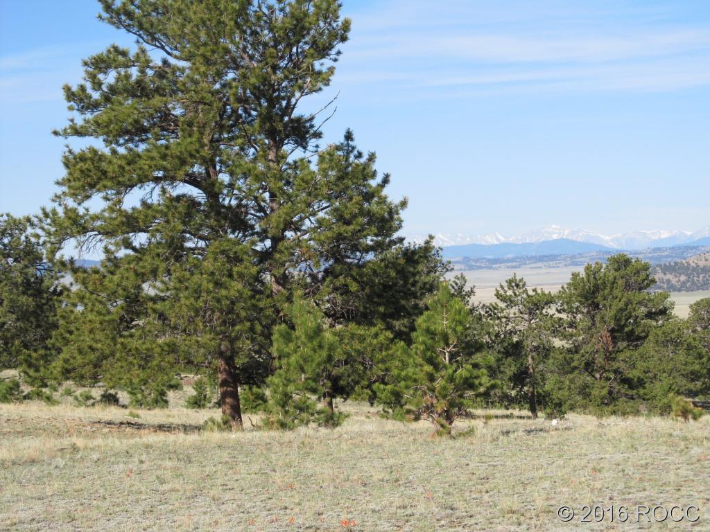 11868 Jackson Road Lake George, CO 80827 - Photo 4 of 6 Gallery Image 4