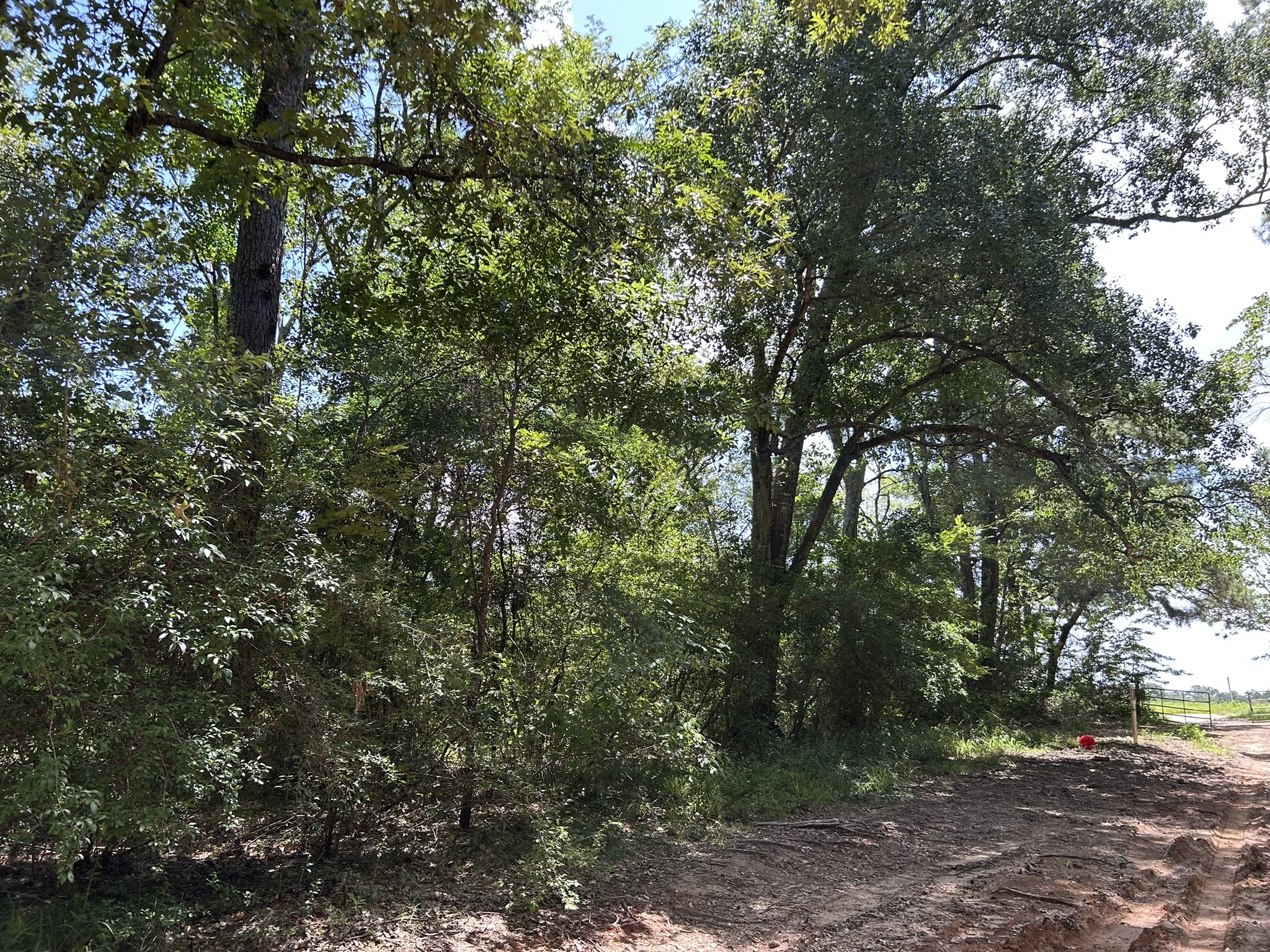 87 Townley Ranch Road Huntsville, TX 77320 - Photo 49 of 50