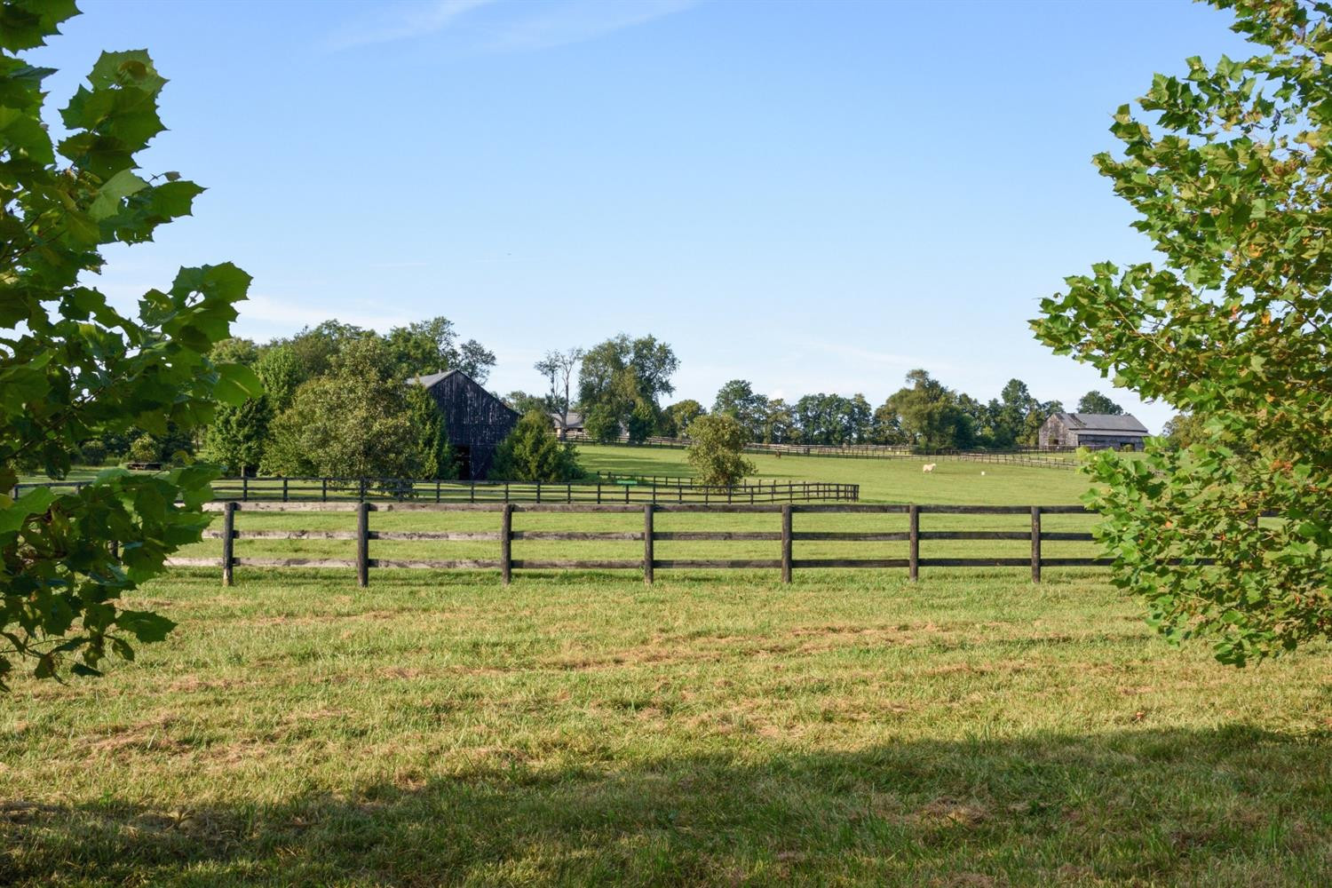 5685 Sulphur Wl Road Lexington, KY 40509 - Photo 7 of 34 Photo 7