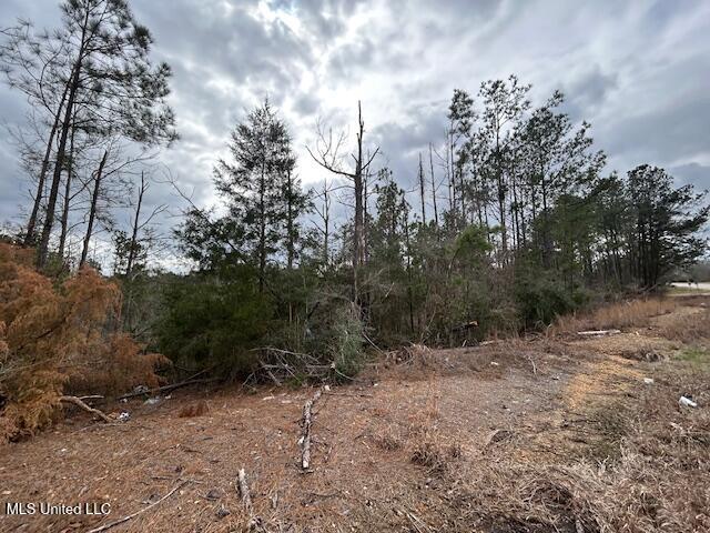 Oak Street Gloster, MS 39638 - Photo 11 of 12 IMG_3221