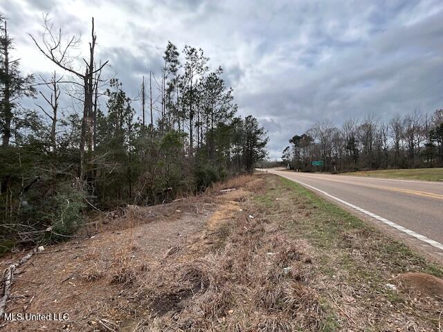 Oak Street Gloster, MS 39638 - Photo 10 of 12 IMG_3220