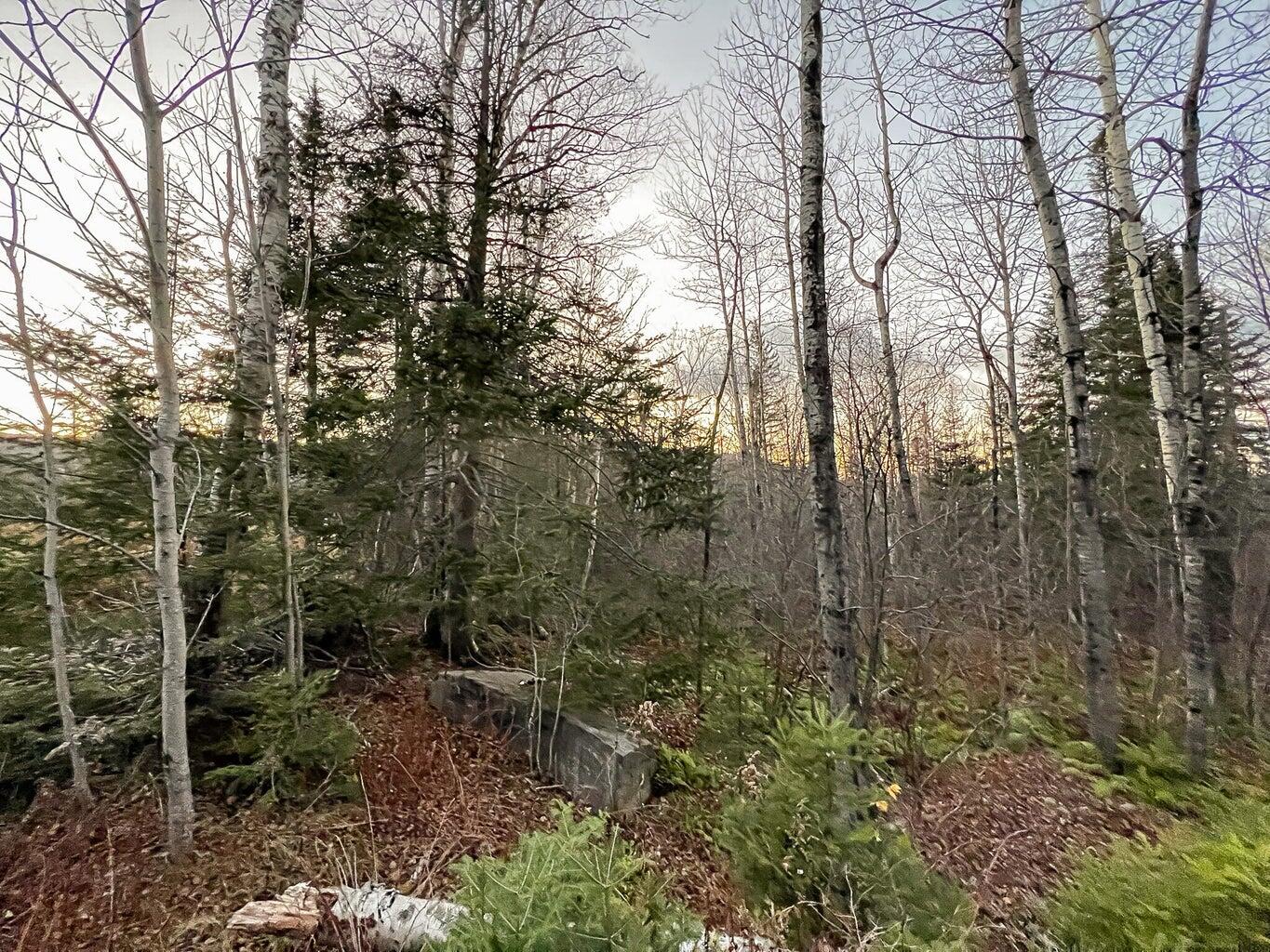 Lot 16 Mill Brook Road Sandy River Plt, ME 04970 - Photo 27 of 44