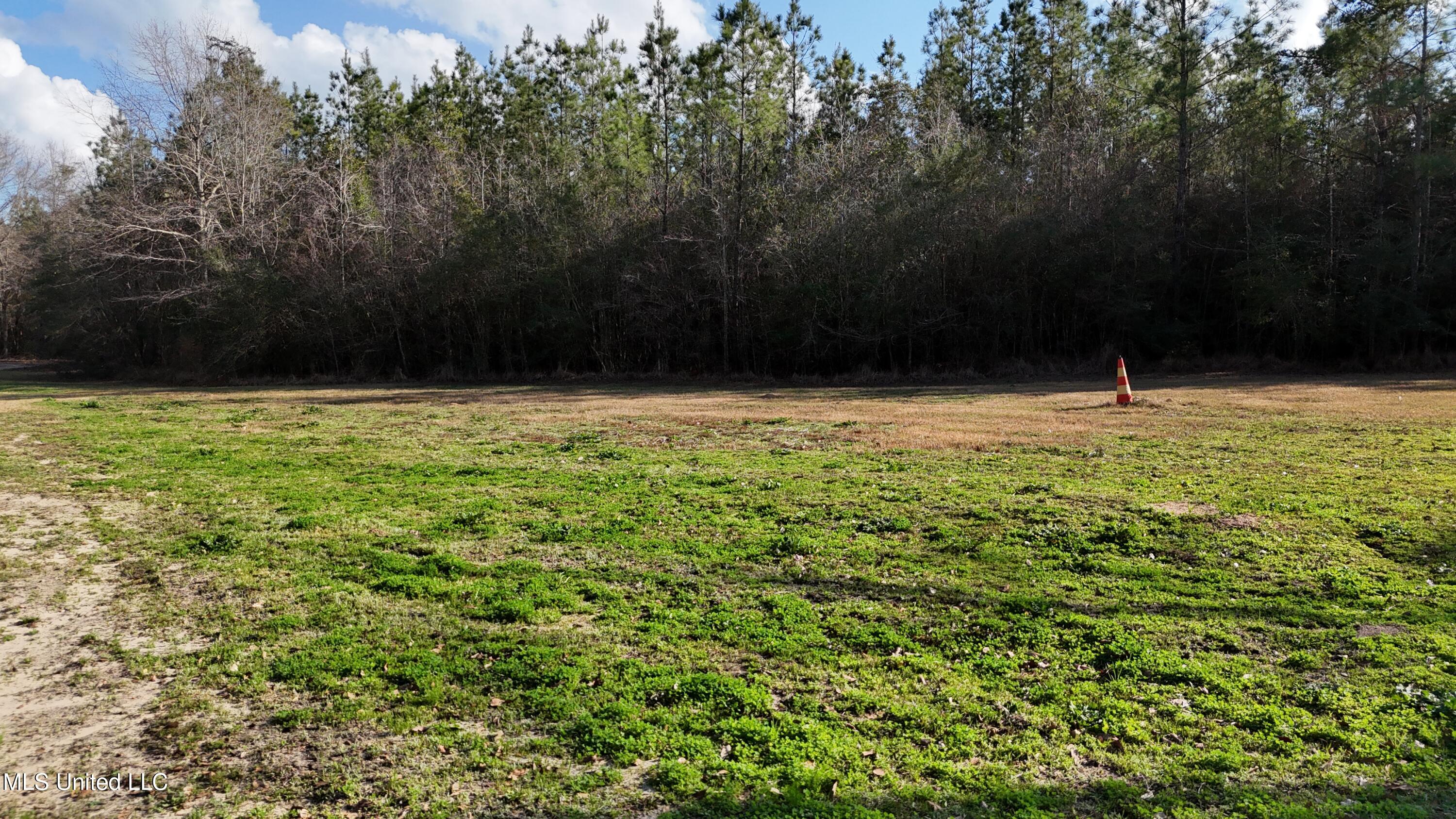 1773 Ridge Road, Unit B Perkinston, MS 39573 - Photo 28 of 33 DJI_20250209150444_0035_D