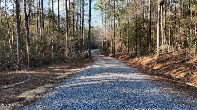 $795,000 | 1773 Ridge Road, Unit B, Perkinston, MS 39573