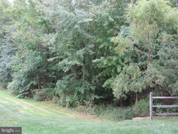 9613 Haven Farm Road, Unit C Perry Hall, MD 21128 - Photo 2 of 24 View from Patio