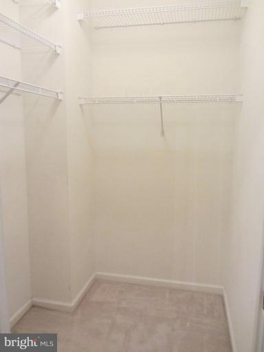 9613 Haven Farm Road, Unit C Perry Hall, MD 21128 - Photo 12 of 24 Walk-in Closet