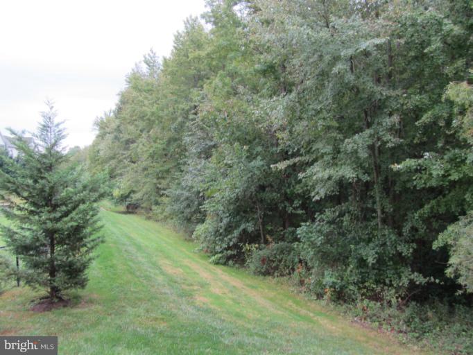 9613 Haven Farm Road, Unit C Perry Hall, MD 21128 - Photo 8 of 24 View from Patio