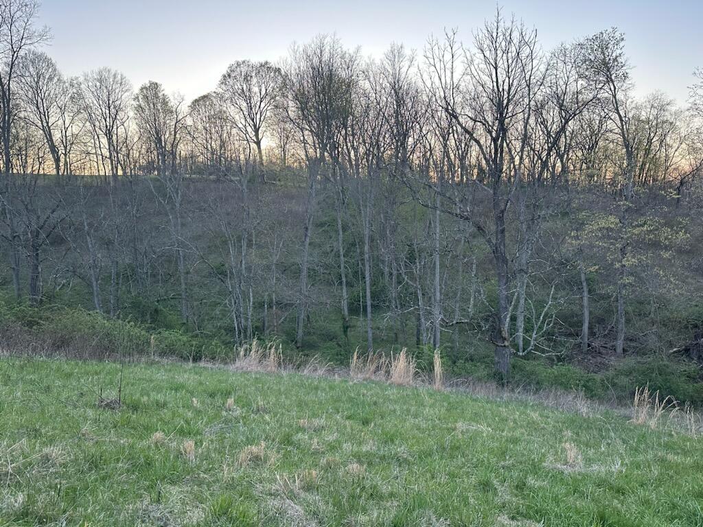 4 Upper Lick Road Moorefield, KY 40350 - Photo 6 of 6 06