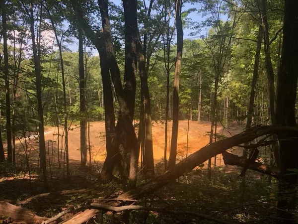 a view of a lake with a yard