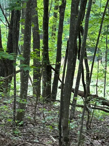 $265,000 | 464 Moonlight Lane, Jasper, TN 37347