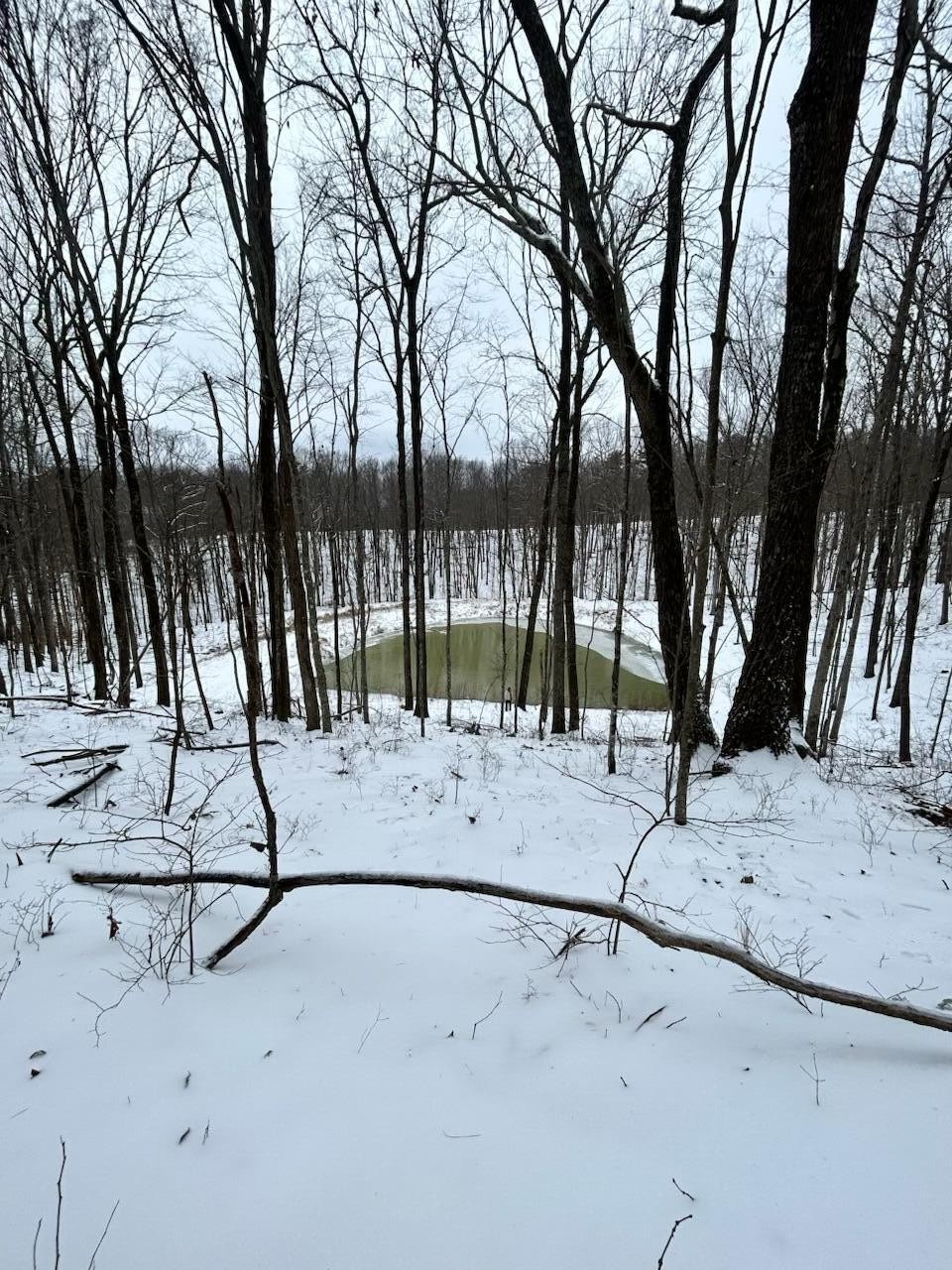 464 Moonlight Lane Jasper, TN 37347 - Photo 15 of 47