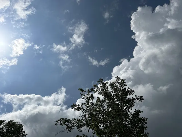 $265,000 | 464 Moonlight Lane, Jasper, TN 37347