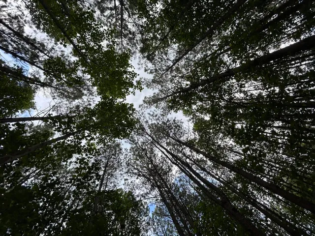 $265,000 | 464 Moonlight Lane, Jasper, TN 37347