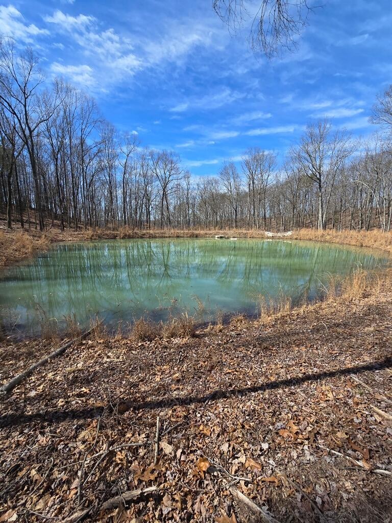 464 Moonlight Lane Jasper, TN 37347 - Photo 2 of 47 a view of a lake with a yard