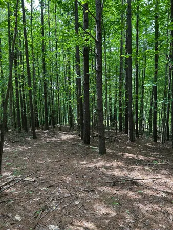 $265,000 | 464 Moonlight Lane, Jasper, TN 37347