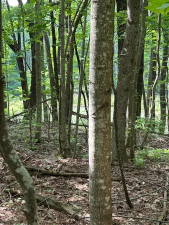 $265,000 | 464 Moonlight Lane, Jasper, TN 37347