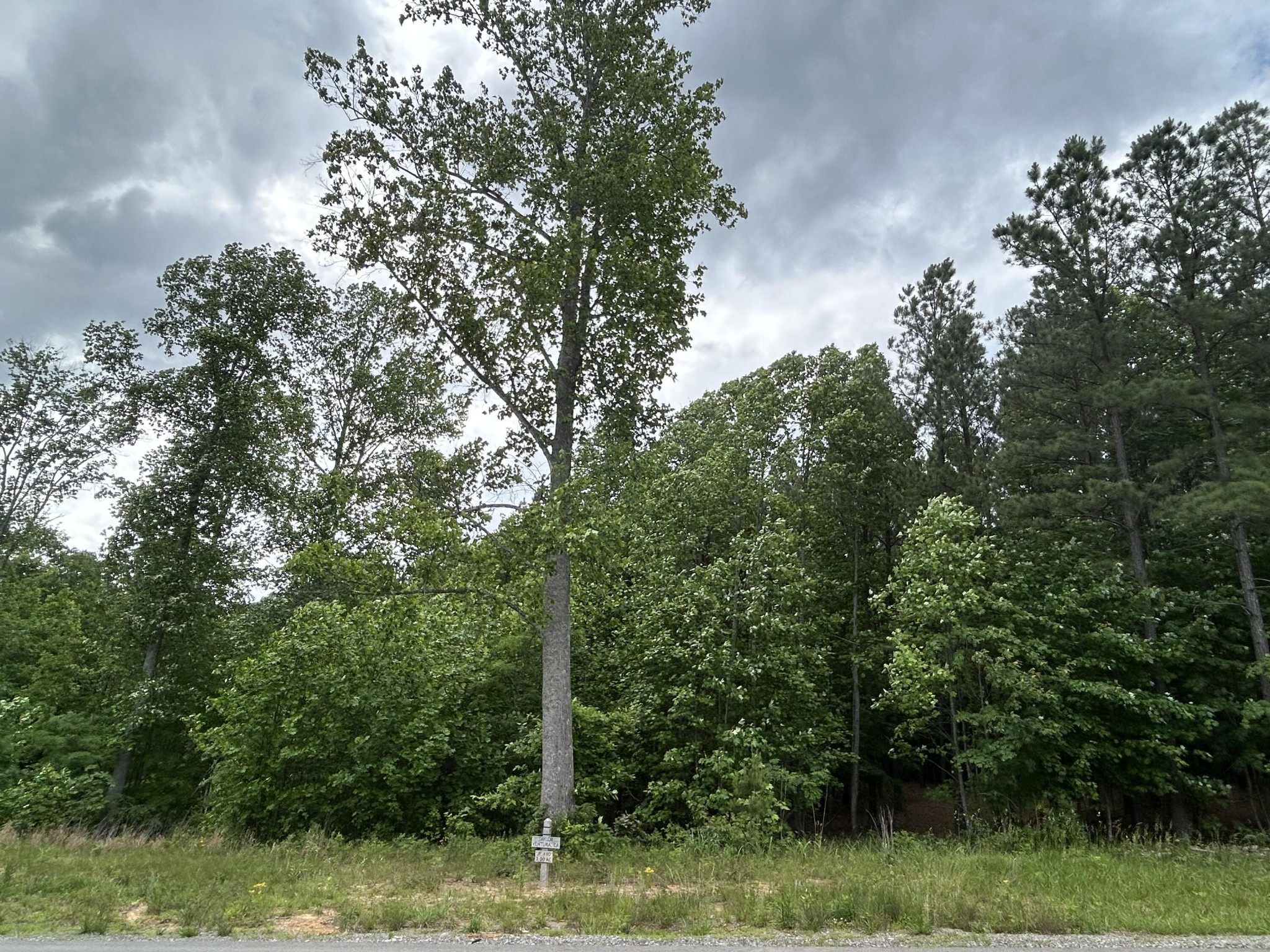 464 Moonlight Lane Jasper, TN 37347 - Photo 9 of 47