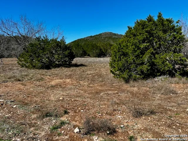a view of a plants with trees in the background