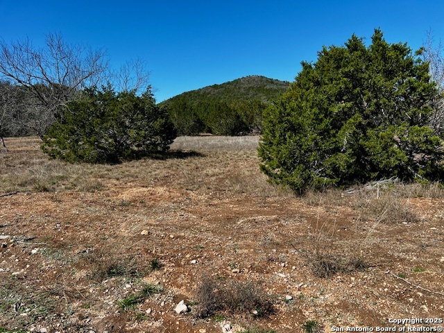 250 Redbud Road Concan, TX 78838 - Photo 2 of 10 a view of a plants with trees in the background