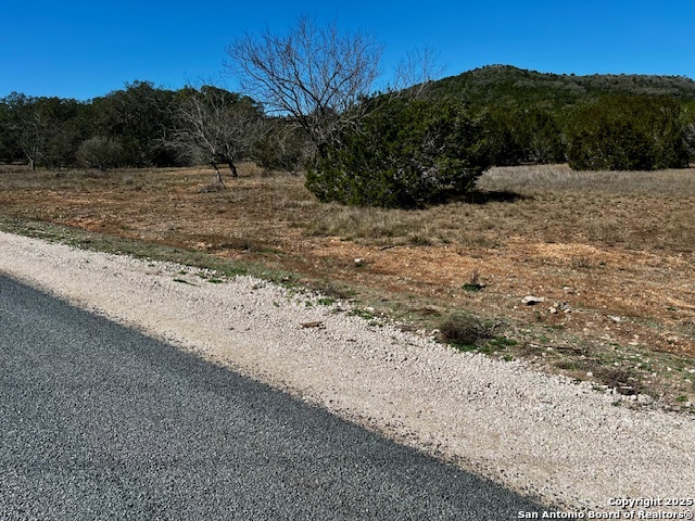 250 Redbud Road Concan, TX 78838 - Photo 7 of 10 a view of a dry yard