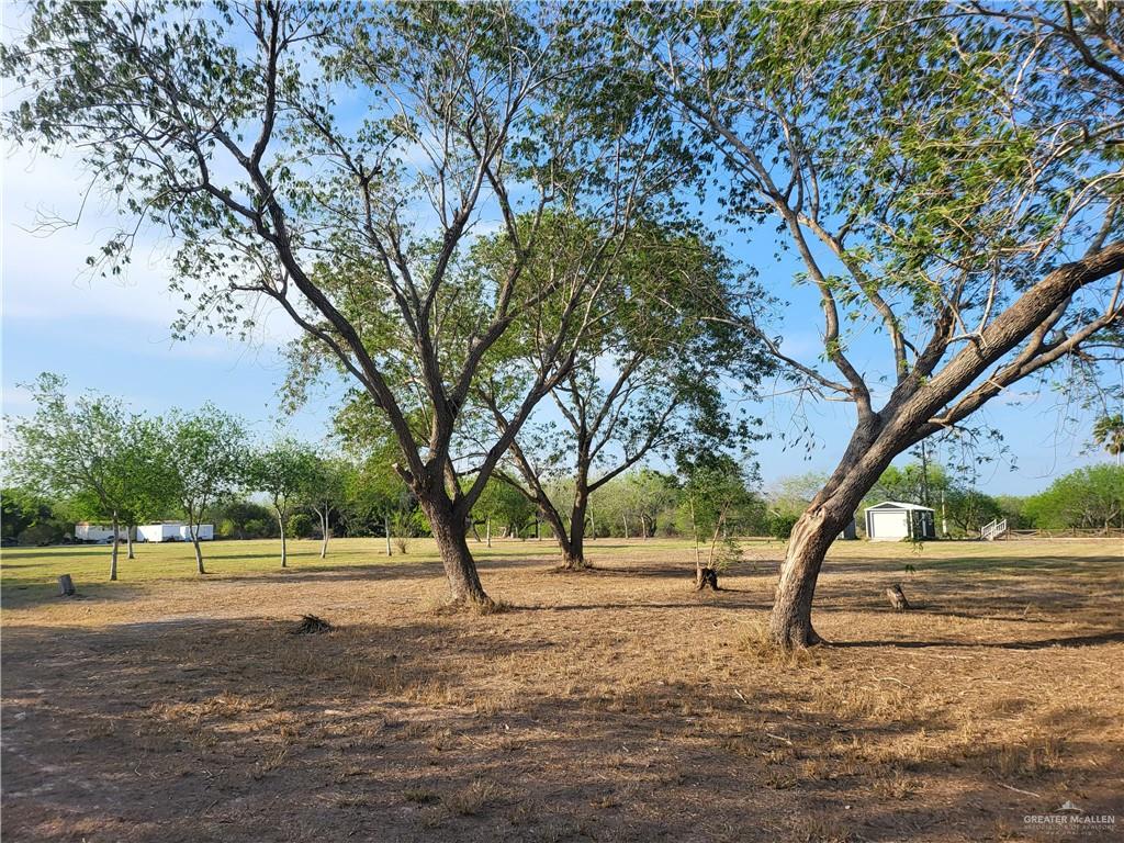 30504 Poco Parte Los Fresnos, TX 78566 - Photo 14 of 20 a view of dirt yard with a large tree