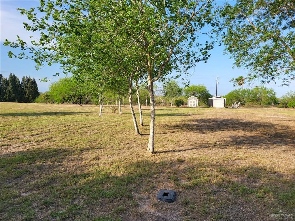 30504 Poco Parte Los Fresnos, TX 78566 - Photo 15 of 20 a view of a yard with an tree