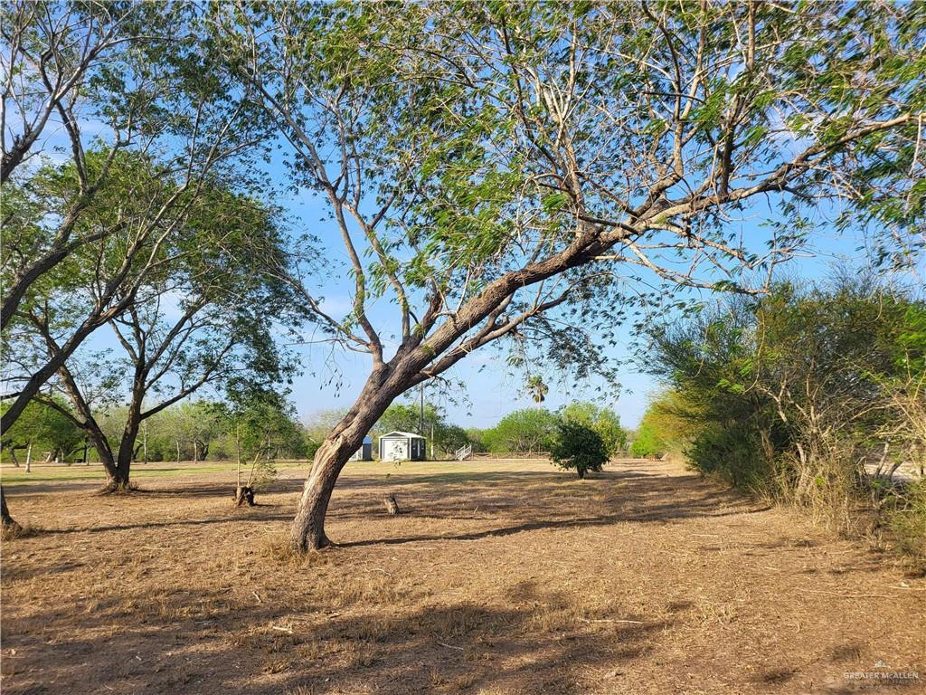 30504 Poco Parte Los Fresnos, TX 78566 - Photo 16 of 20 a view of yard with trees
