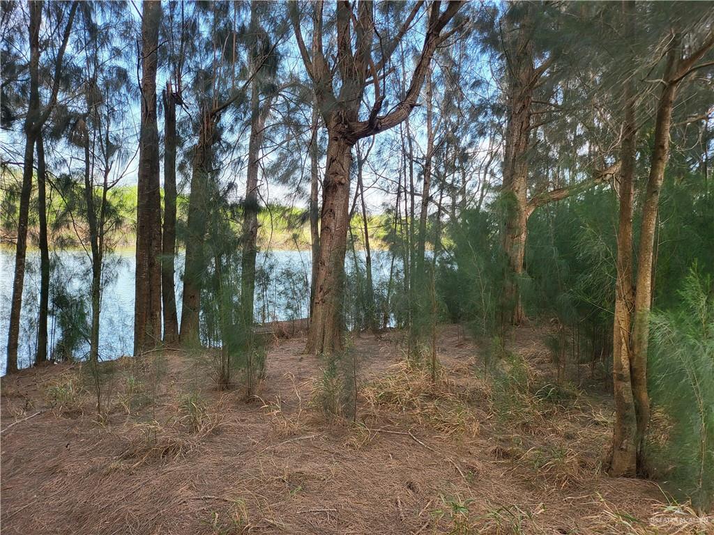 30504 Poco Parte Los Fresnos, TX 78566 - Photo 6 of 20 a view of a forest with trees in the background