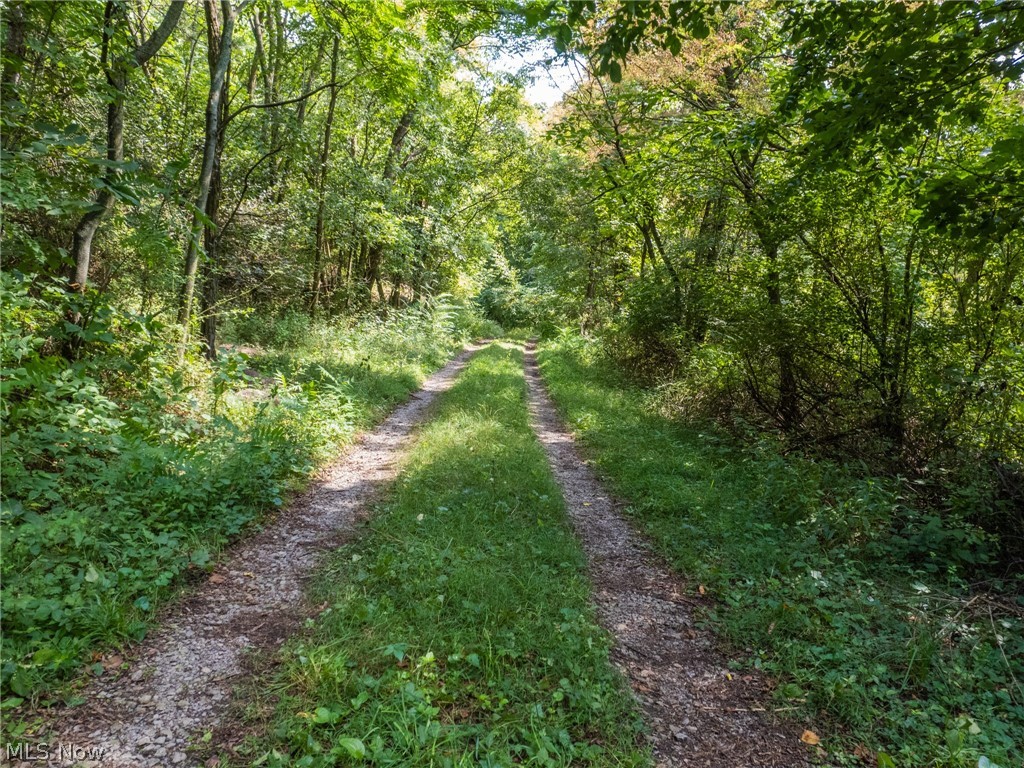 Hardy Ridge Road Northwest Dundee, OH 44624 - Photo 17 of 23 Gallery Image 17