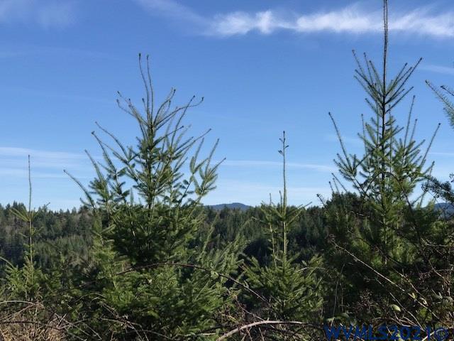 Southeast Loudon (lot 700) Road Corbett, OR 97019 - Photo 2 of 5