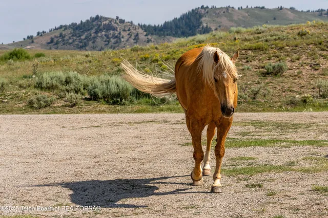 $7,850,000 | 30 Vista Road, Cora, WY 82925