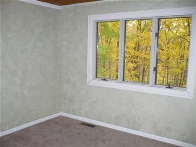 2539 East Snow Road Berrien Springs, MI 49103 - Photo 9 of 23 Additional Photo