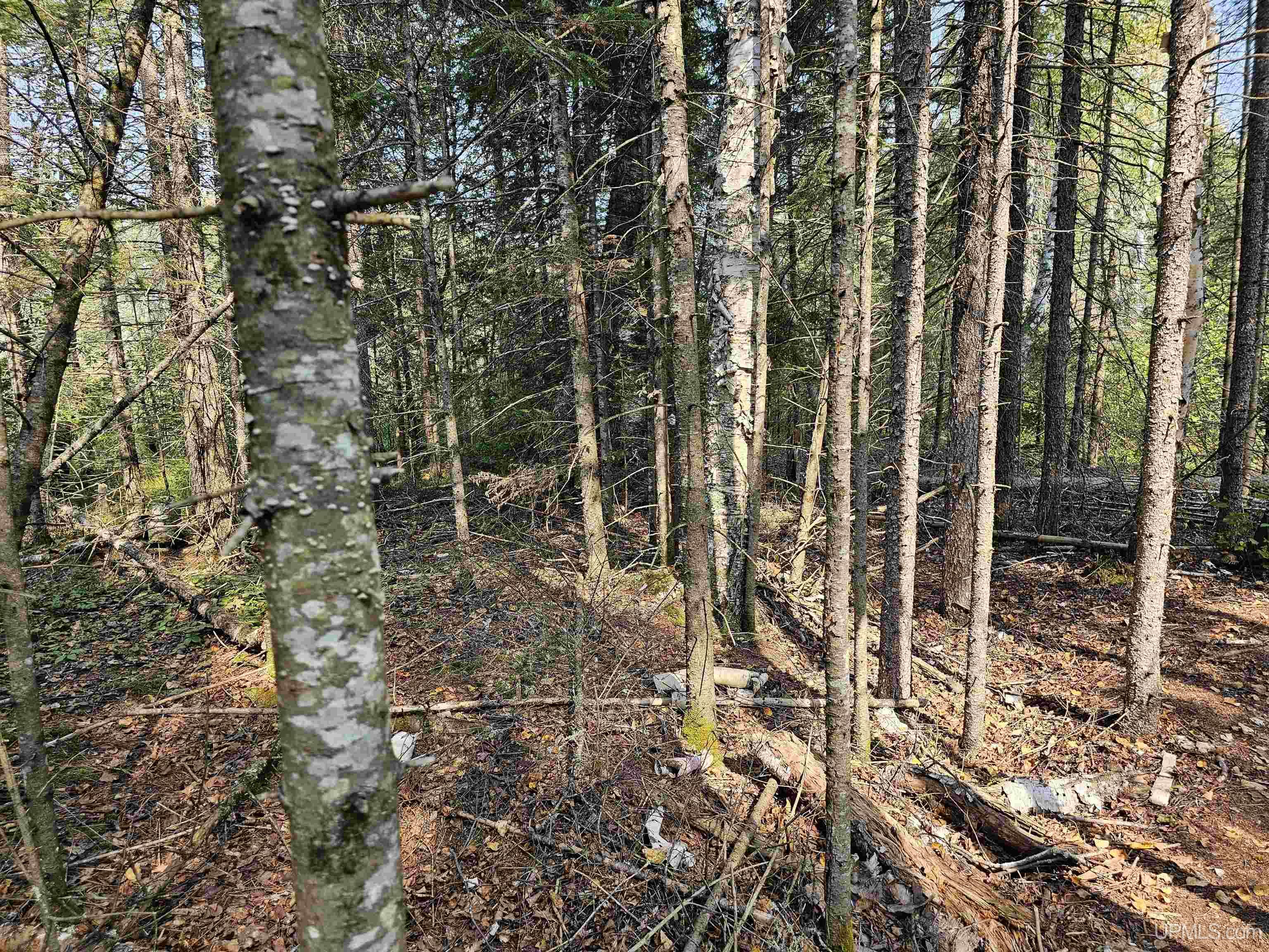 Tbd Willet Lane Ishpeming, MI 49849 - Photo 8 of 25