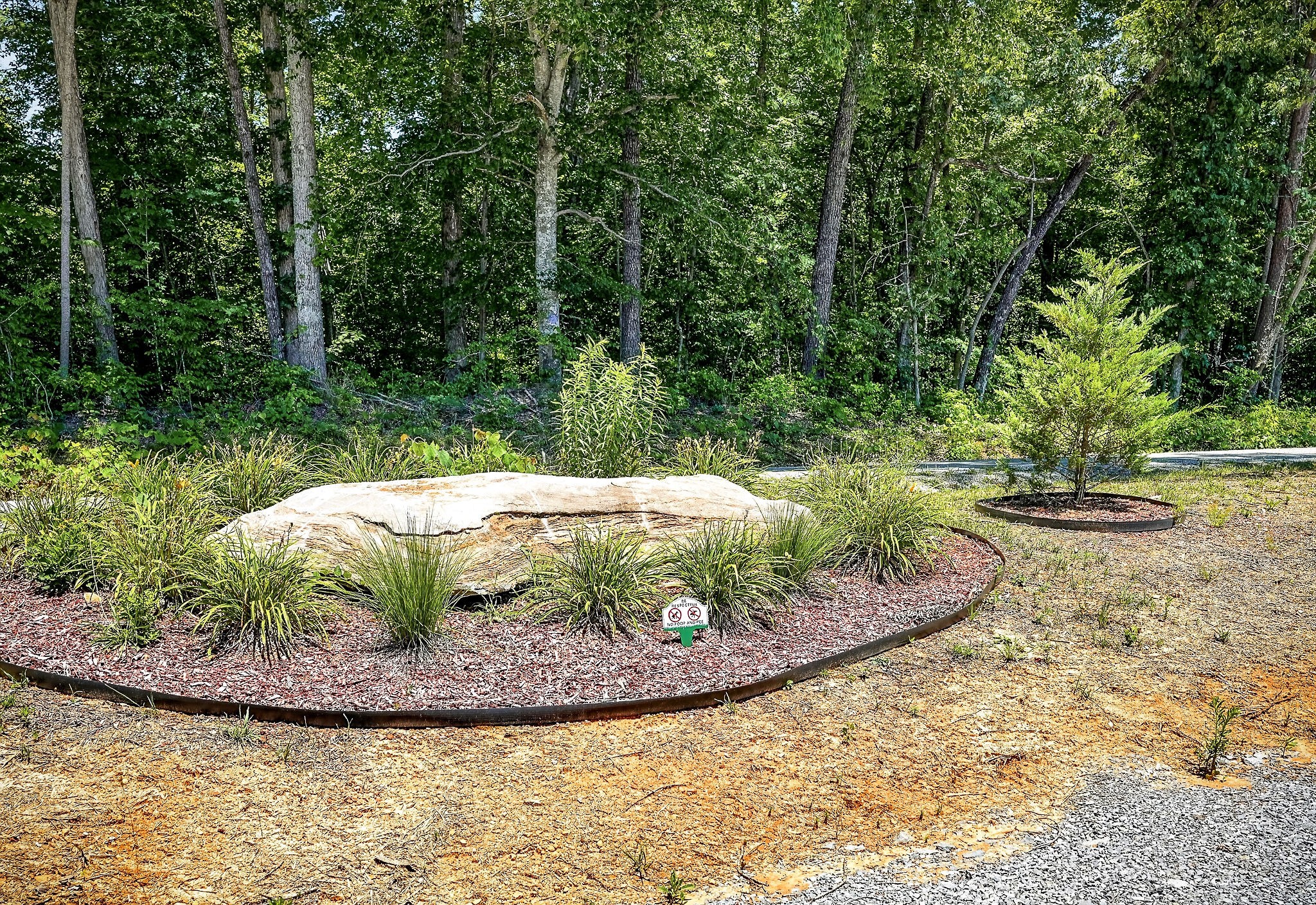 359 Allen Sells Lane Alpine, TN 38543 - Photo 38 of 71