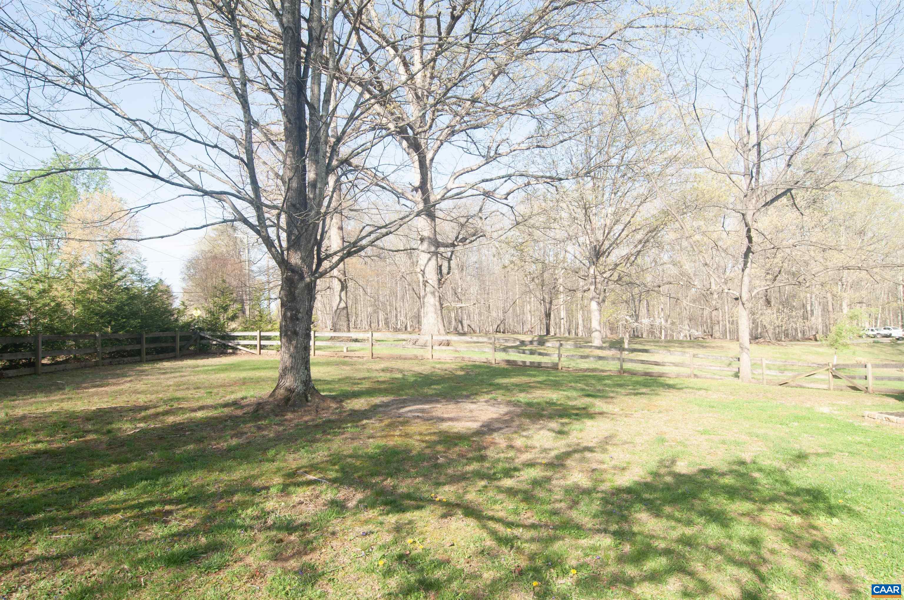 4600 Advance Mills Road Earlysville, VA 22936 - Photo 52 of 61 a view of yard with trees