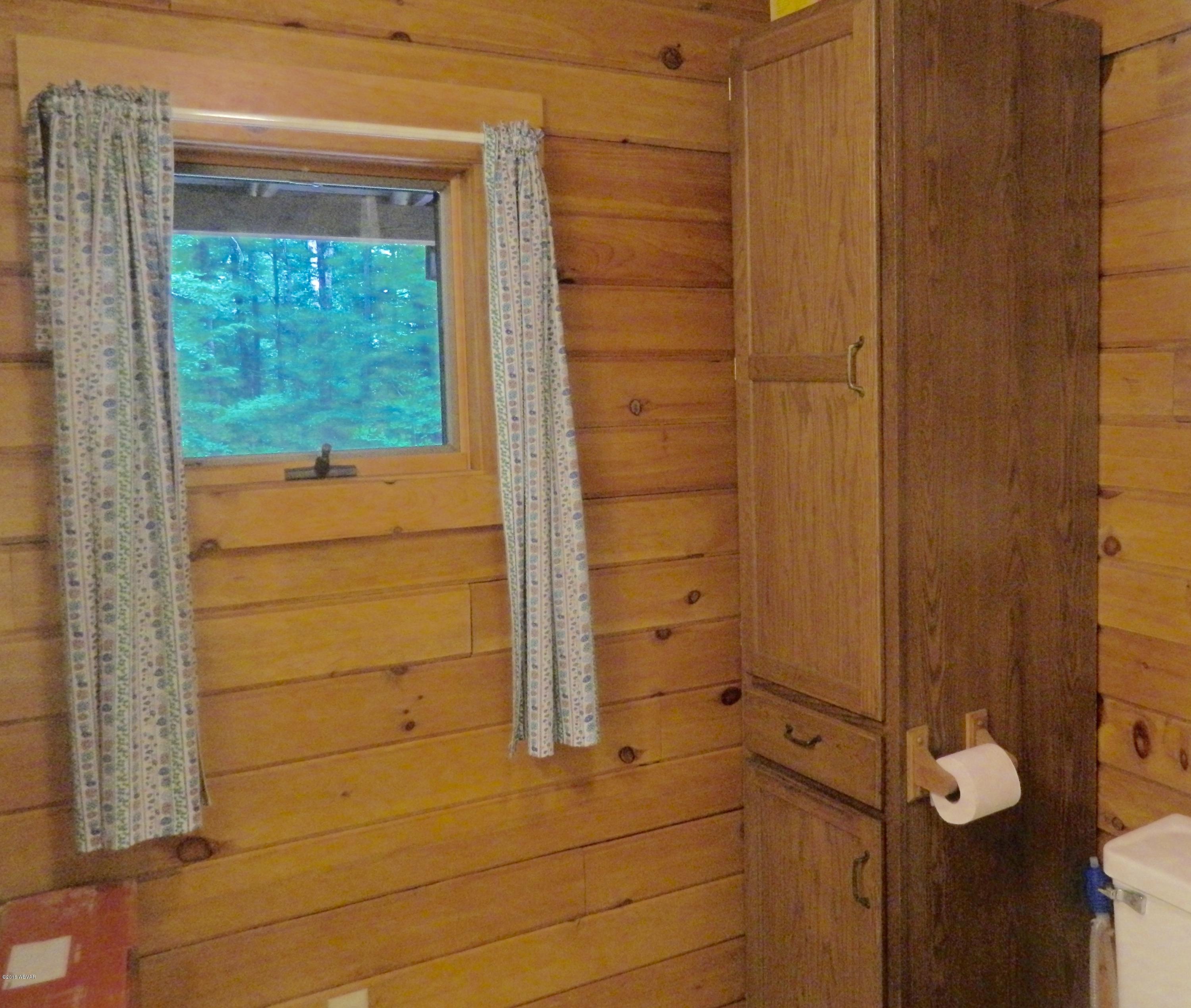 371 Coal Mine Road Dushore, PA 18614 - Photo 21 of 34 Full Bath 1
