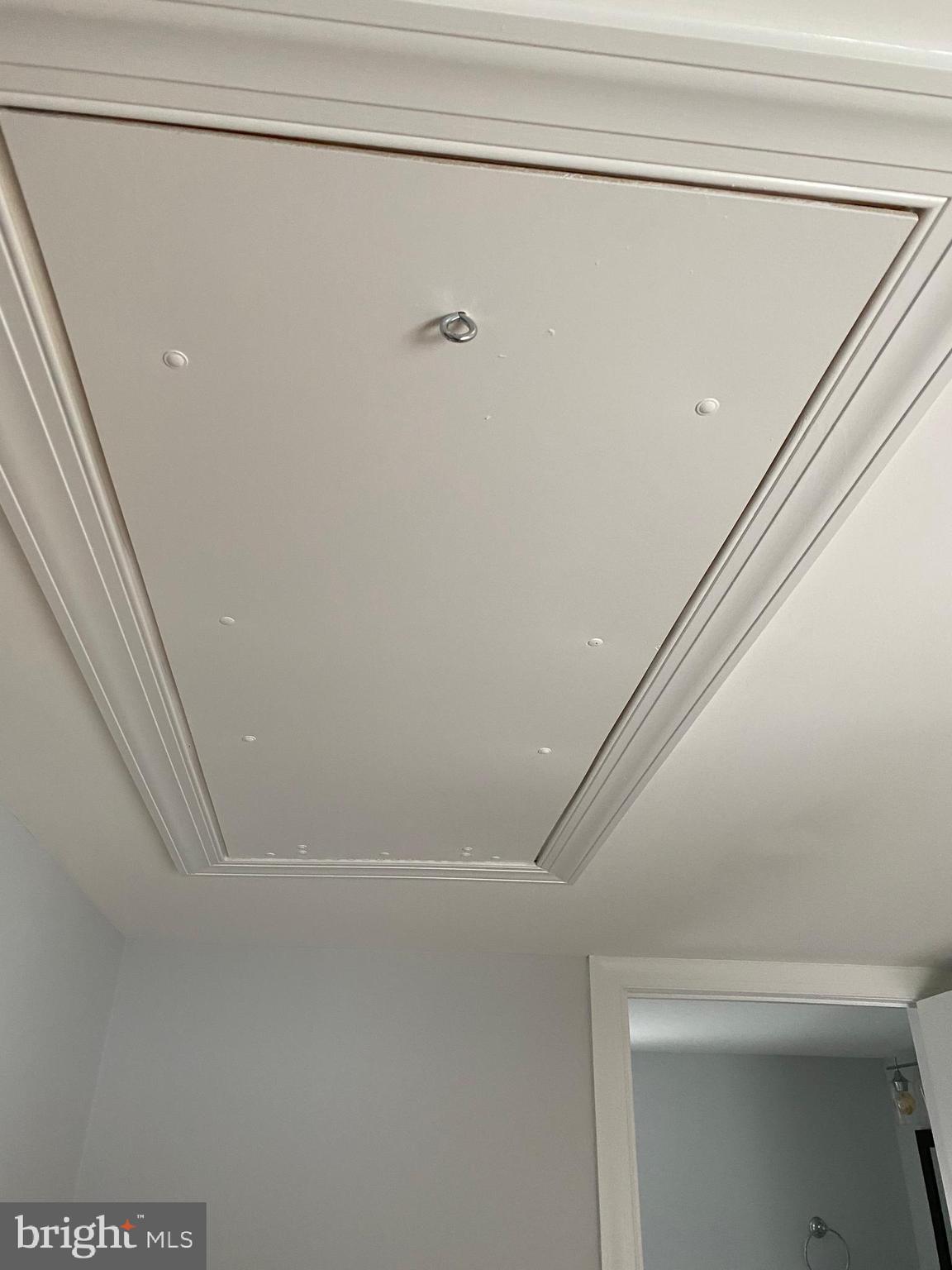 5730 Newton Road Preston, MD 21655 - Photo 71 of 74 attic access