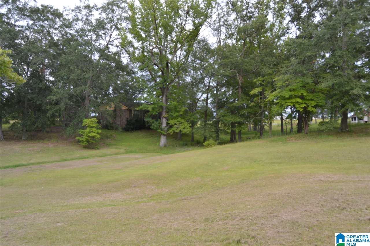 5281 Hollis Goodwin Road Dora, AL 35062 - Photo 4 of 49