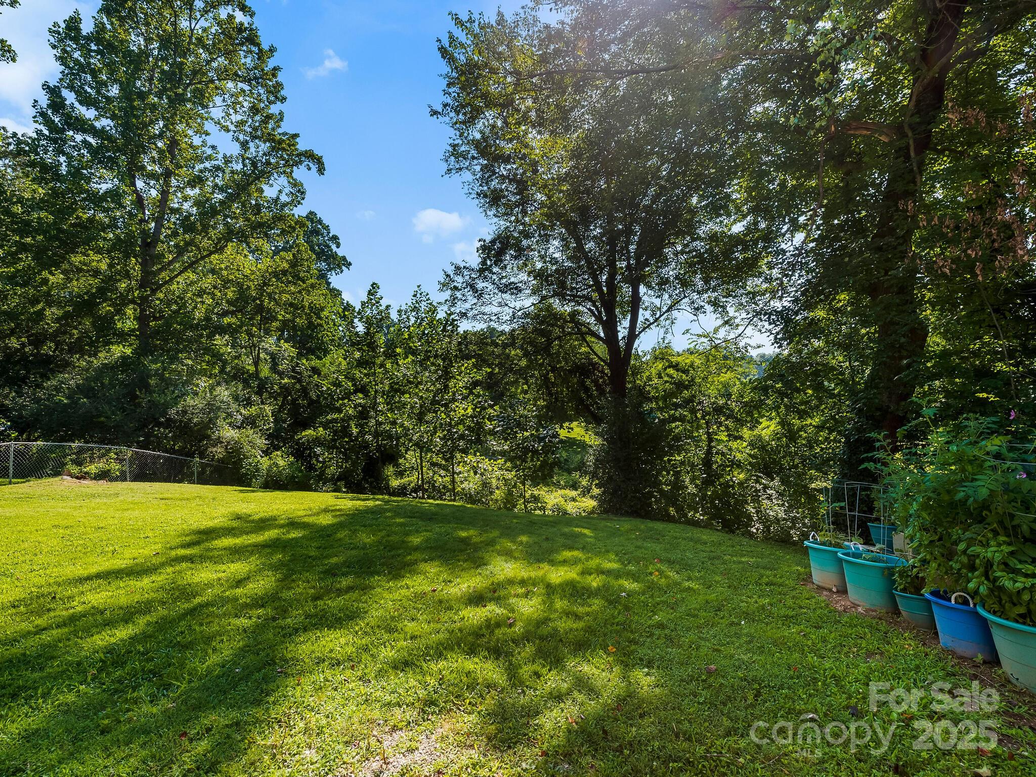 8 Vista Knoll Road Candler, NC 28715 - Photo 24 of 32 a view of a grassy field with trees in the background