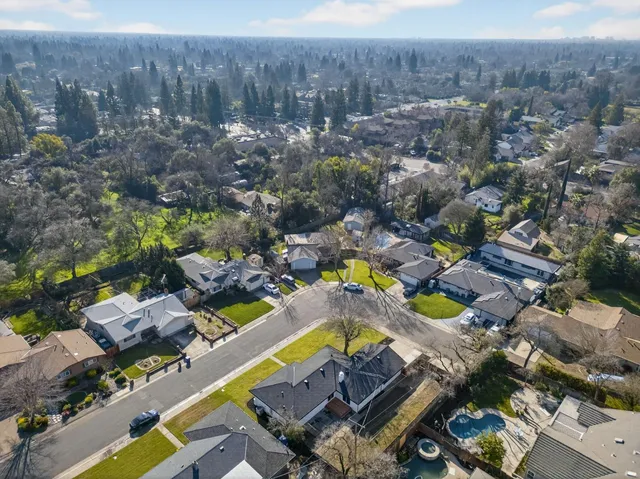 a sink with a potted plant on it