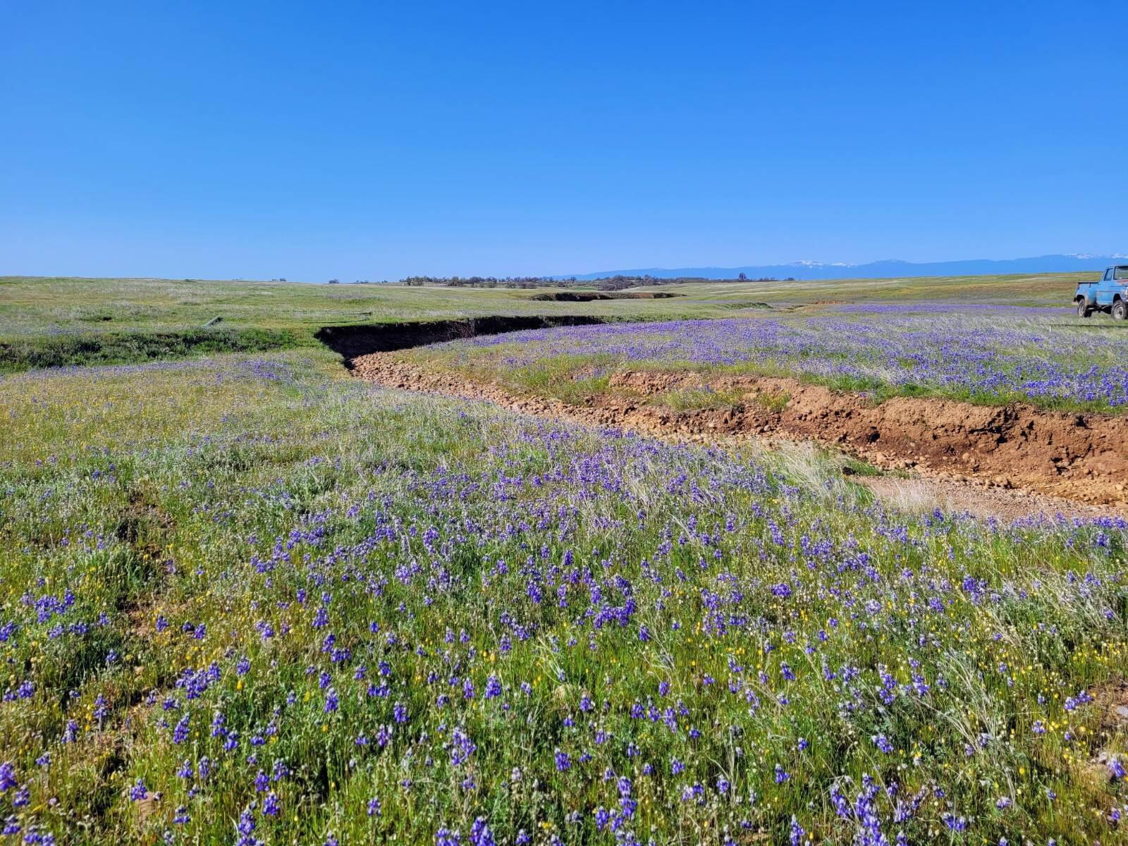 a view of an ocean and a beach