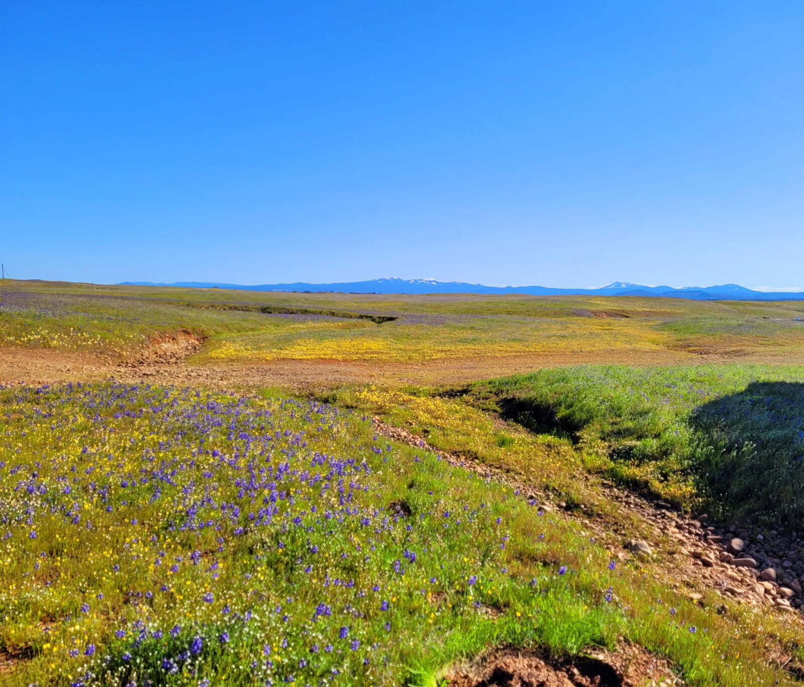 Leopard Drive Millville, CA 96062 - Photo 2 of 6 a view of an ocean and beach