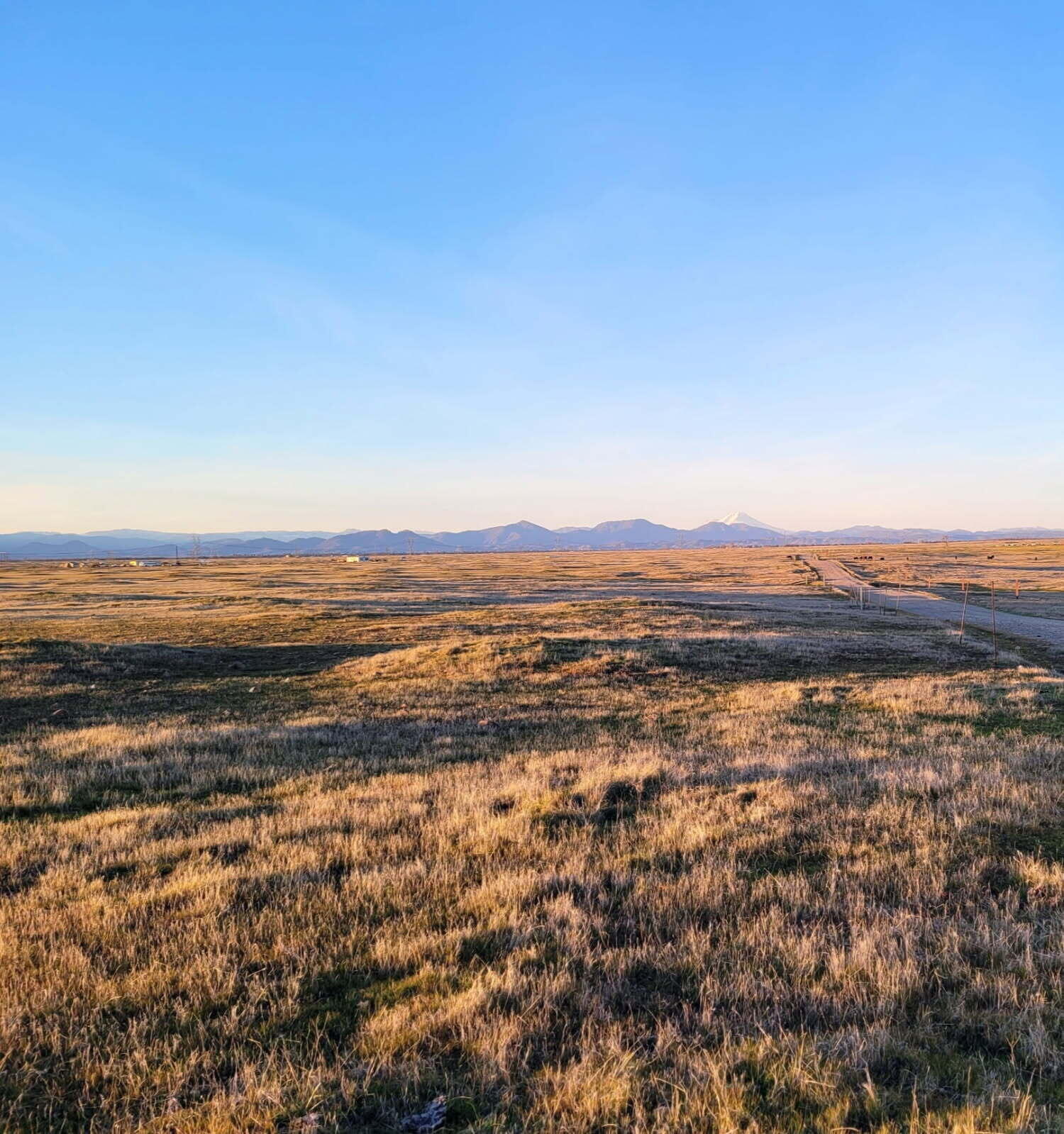 Leopard Drive Millville, CA 96062 - Photo 4 of 6 a view of an ocean