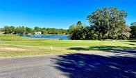 46 Chapel Hill Trinity, TX 75862 - Photo 2 of 14