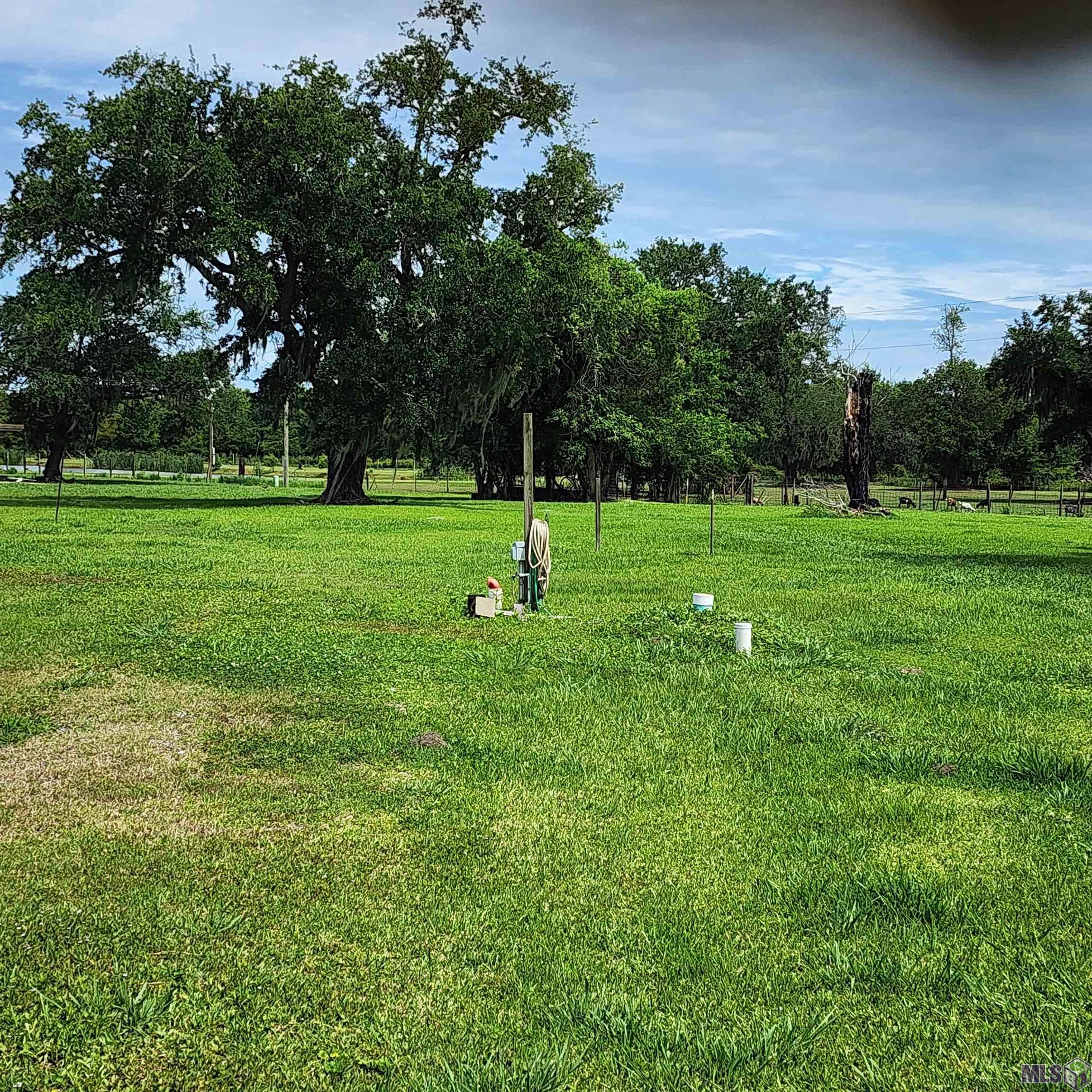 2213 Bayou Dularge Road Theriot, LA 70397 - Photo 1 of 1